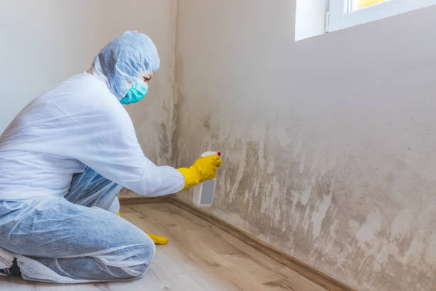 Mold Remediation specialist working in Gratz