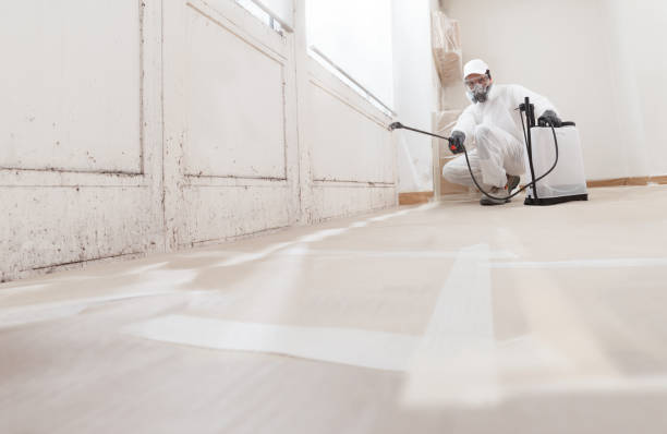 Black mold remediation team in Gratz